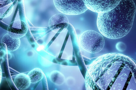 La terapia genética alcanza Por fin al futuro
